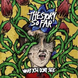 The Story So Far : What You Don't See